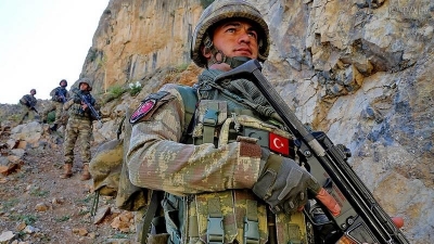 Türkiyə ordusu 11 terrorçunu məhv etdi