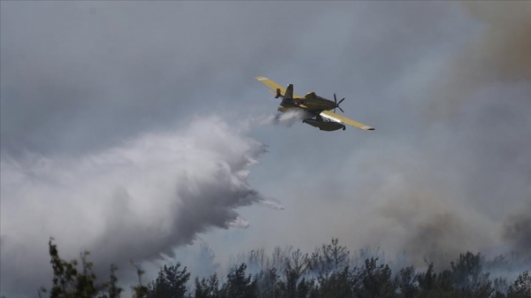 6916366a42c44202511255002