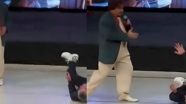 691afe5896af8202511255208