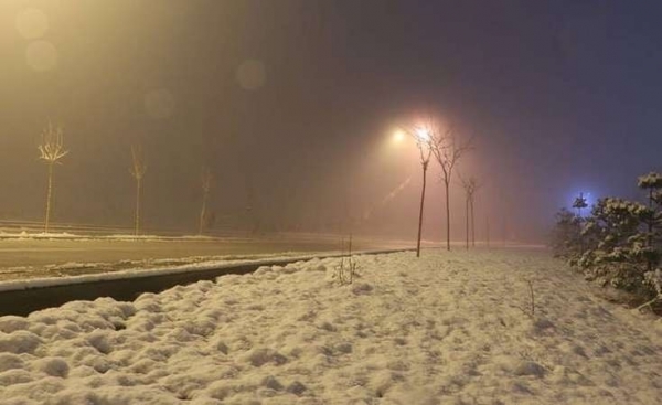 69502bdbc0e15202512255627